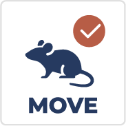 Moving objects (animal)
